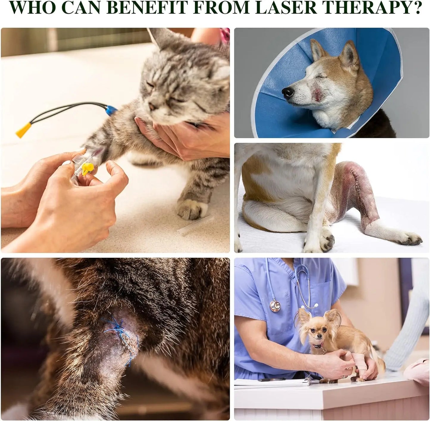 Portable Red Light Therapy Device for Pets Arthritis Pain Relief