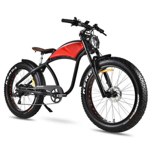 Xtion Electric Mountain Bike 750W 48V 15Ah All-Terrain Fat Tire