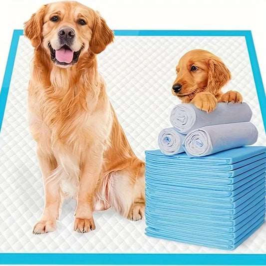 NONEDog Litter Premium Dog Pee Pads Super Absorbent