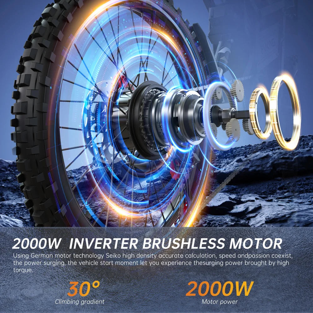 Electric Mountain E-Bike Dual Battery 2900W Peak 52V