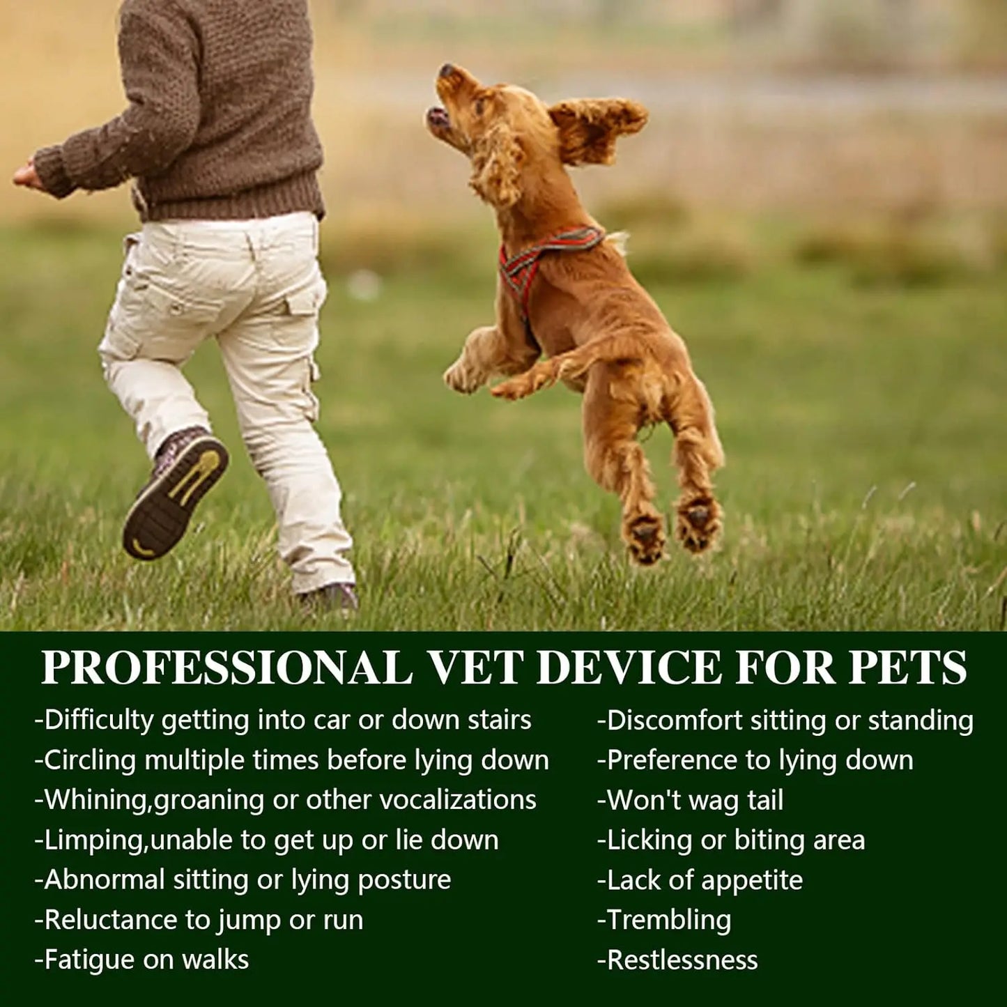 Portable Red Light Therapy Device for Pets Arthritis Pain Relief