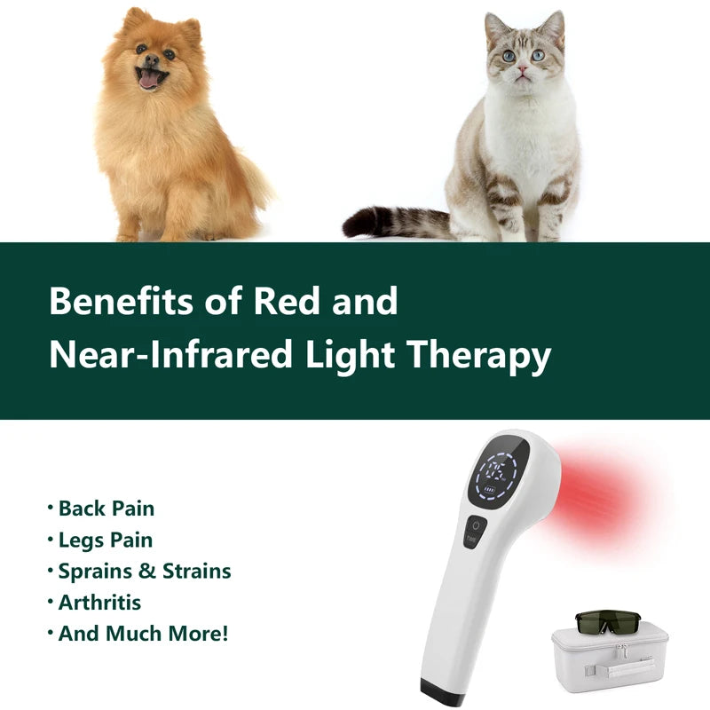 Handheld Laser Therapy Device For Dogs 2x808nm Red Light Therapy