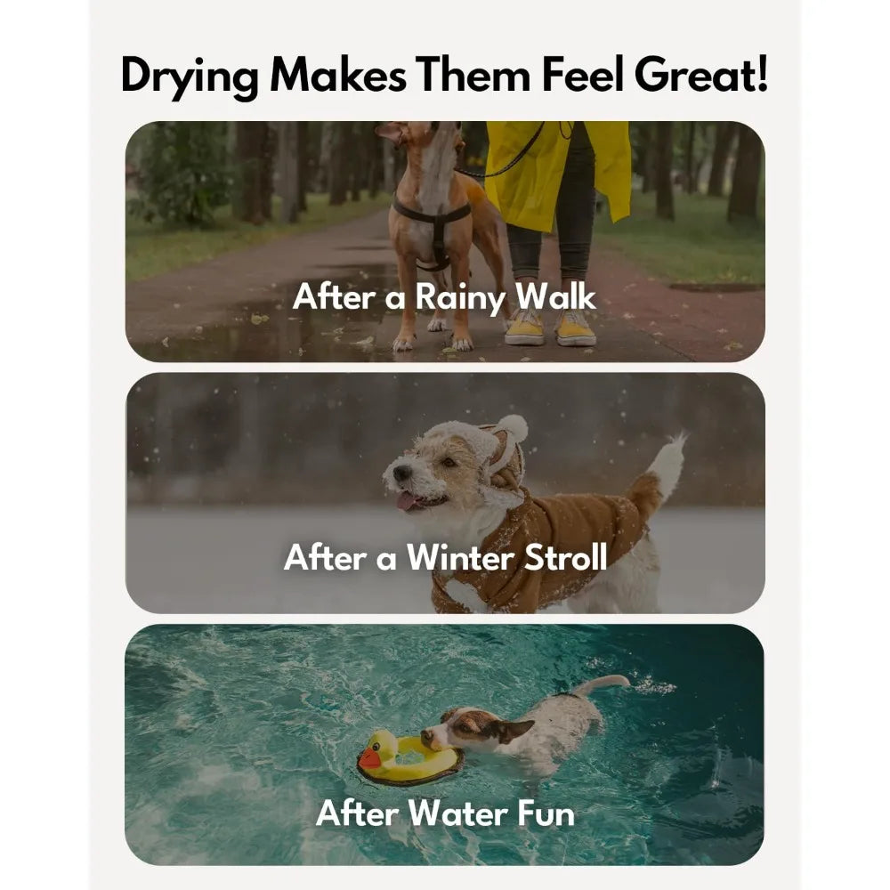 Ultra Pet Dryer Box Ultra Quiet Smart Temperature Control