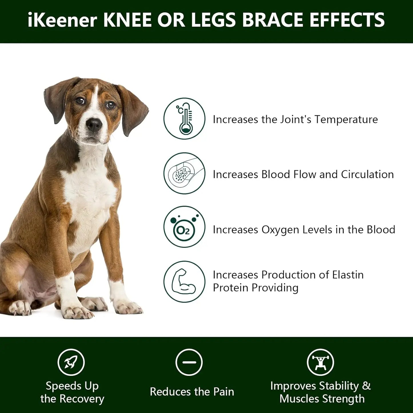 Portable Red Light Therapy Device for Pets Arthritis Pain Relief